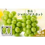 ふるさと納税 シャインマスカット(2房)【配送不可地域：離島】【1300088】 山梨県山梨市