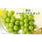 ふるさと納税 シャインマスカット(8房)【配送不可地域：離島】【1300099】 山梨県山梨市