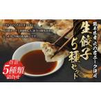 火の君ポークR 使用生餃子5種セット ポーク