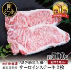 黒毛和牛専門店 焼肉次郎長 A5等級 サーロインステーキ 2人…