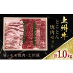 ふるさと納税 上州牛肩・モモ焼肉・上州豚とことん焼肉セット ANP005 群馬県安中市