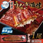 冷蔵 うなぎ 蒲焼 1尾