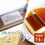 濃厚プリン New Pudding ニュープディング 500g×1本