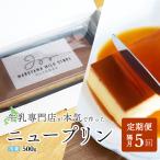 濃厚プリン New Pudding ニュープディング 500g×1本