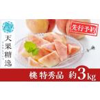 ふるさと納税 先行予約 桃 特秀品 約3kg 糖度13度以上を厳選 令和8年度 新潟県産 天果糖逸 JAえちご中越 新潟県三条市