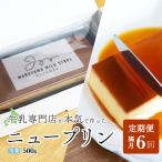 濃厚プリン New Pudding ニュープディング 500g×1本