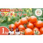 ミニトマト サンチェリー 1kg