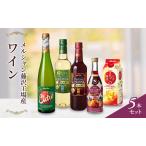 ふるさと納税 ワイン 赤 白 梅酒 5本 セット ワイン  【 メルシャン 】  神奈川県藤沢市