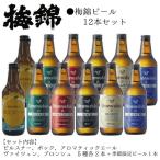 梅錦 ビール12本詰め合わせ 定番ビール5種と季節の