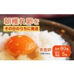 fu.... налог медведь удача предубеждение прекрасный . яйцо 30 шт ×2 коробка Ehime префектура Сикоку центр город 