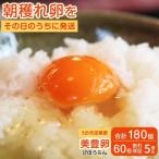 熊福こだわり美豊卵 60個