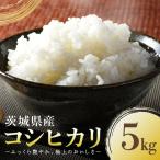 コシヒカリ 5kg