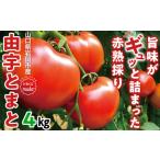由宇とまと 約4kg
