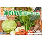 新鮮野菜の詰め合わせ NHH0001
