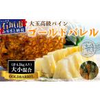 ふるさと納税 【先行予約】《2025年夏季 順次発送》石垣島産・ゴールドバレルパイン 高級パインですが「訳あり」の大小混合セット SI-7-1 沖縄県石垣市