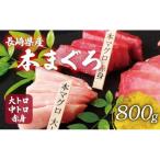 本マグロ 大トロ 中トロ 赤身 計800g以上