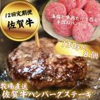 佐賀牛ハンバーグステーキ 8個