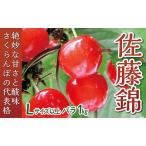 ふるさと納税 【令和6年産予約】さくらんぼ「佐藤錦」Lサイズ以上　バラ1kg 山形県最上町