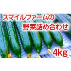 朝採りきゆうり4kg 野菜 新鮮