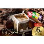 ふるさと納税 厳選ドリップコーヒー4種50袋 定期便 全6回 大阪府泉佐野市