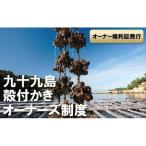 九十九島殻付かきオーナーズ制度 2027年冬お届け