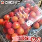2027年発送 さくらんぼ 佐藤錦 600g
