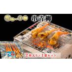 天然 串青柳 2串入り×1袋 岬だより 大サイズ