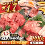 牛肉 焼肉 佐賀牛 A5 総計9.6kg NAB231