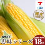 千歳産 とうもろこし 1本430g以上 10本