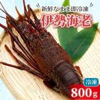 訳あり伊勢海老冷凍 800g