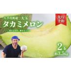 ふるさと納税 メロン タカミメロン 秀品 2玉 約3.5kg メロン メロン メロン メロン メロン メロン メロン メロン 茨城県八千代町
