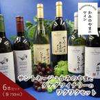 サントネージュかみのやまとタケダワイナリーのワクワクセ…