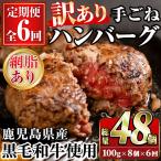 産黒毛和牛 手ごねハンバーグ 合計48個
