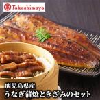 産うなぎ蒲焼ときざみのセット IB001-043