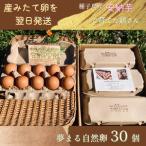 種子島 平飼い 産み立て たまご 夢まるガーデン