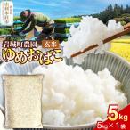 秋田県由利本荘市 玄米・雑穀米　ふるさと納税 【玄米】ゆめおばこ 秋田県産 岩城町農園のゆめおばこ 5kg（5kg×1袋）令和7年産 真空パック 秋田県由利本荘市