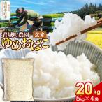 秋田県由利本荘市 玄米・雑穀米　ふるさと納税 【玄米】ゆめおばこ 秋田県産 岩城町農園のゆめおばこ 20kg（5kg×4袋）令和7年産 真空パック 秋田県由利本荘市
