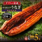 泰正オーガニック うなぎ 蒲焼 特大5尾