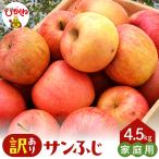 2026年産 ※訳あり※ サンふじ満杯詰 約4.5kg