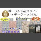 シングル ポーランド産マザーグース95%