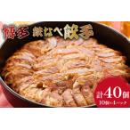福岡県筑紫野市 餃子　ふるさと納税 博多鉄なべ餃子 10個×4 計40個 / うまか堂本舗 / 福岡県 筑紫野市 [21760420] 福岡県筑紫野市