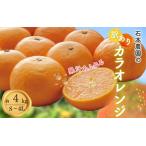 オレンジ 訳あり 石本農園のカラオレンジ 4kg