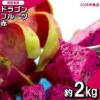 ふるさと納税 南国奄美のドラゴンフルーツ赤 約2kg（4〜8玉入り）【2026年発送】 鹿児島県 奄美群島 奄美大島 龍郷町 国産 奄美産 青果 果実 .. 鹿児島県龍郷町