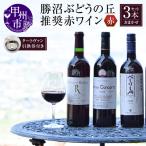 ワイン 勝沼ぶどうの丘推奨赤ワイン3本+タートヴァン