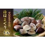 はまぐり 九十九里産 活 1.3kg