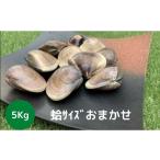 はまぐり 地元漁師が厳選 天然蛤 5kg入り