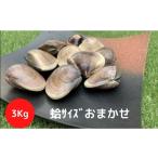はまぐり 地元漁師が厳選 天然蛤 3kg入り
