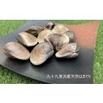天然蛤 12ヶ月毎月届く 地元漁師が厳選 2kg