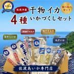 干物 イカ 4種 佐渡沖産 いかづくしセット2