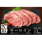 ふるさと納税 牛サーロインステーキ(牛脂注入)100g×5枚×2袋【合計1kg】柔らかさとジューシーな味わいが自慢のお肉 B-615 佐賀県鹿島市